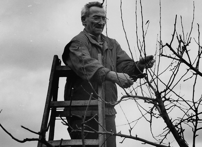 Erhard Hosan