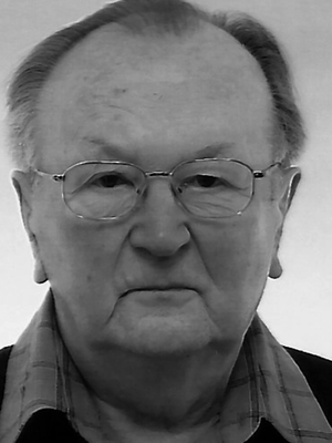 Heinz Böttger