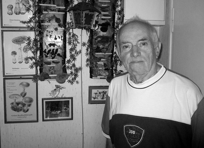 Werner Matthes