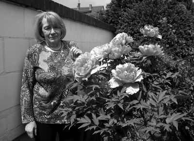 Renate Schmidt