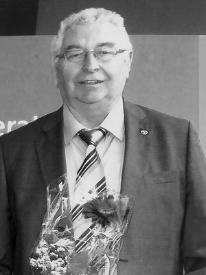 Wolfgang Elsner