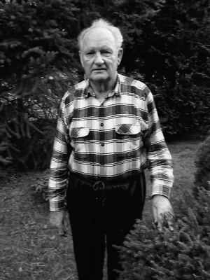 Wolfgang Budzin