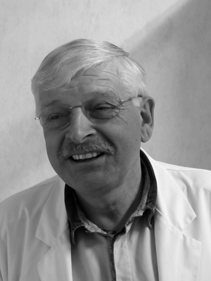 Dietmar Eckstein