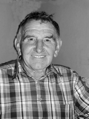 Herbert Schubert