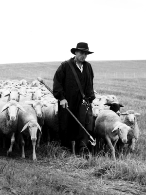 Martin Schmid