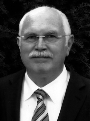 Volker Brauer