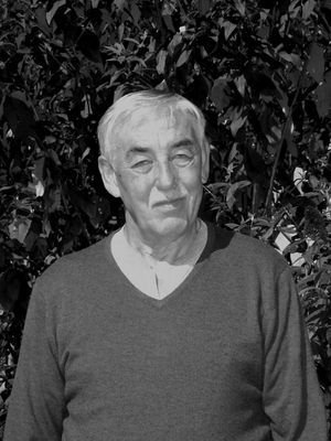 Wolfgang Ebert