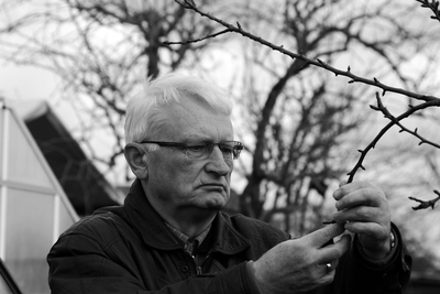 Rainer Naumann