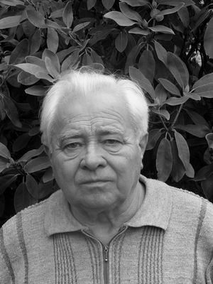 Lothar Göpfert
